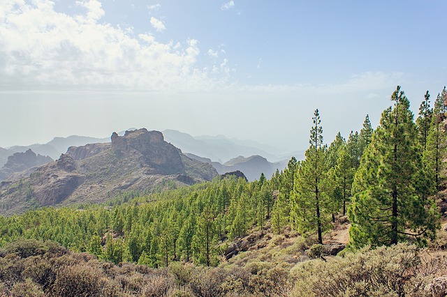 VIP tour in Gran canaria