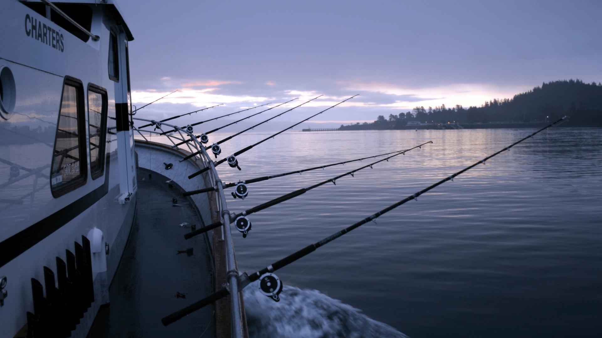 Sport fishing in Gran Canaria, Blue Marlin fishing