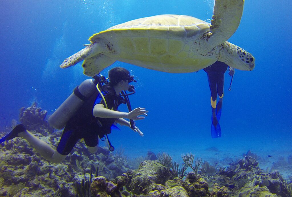 scuba diving gran canaria