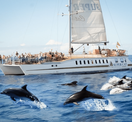 Supercat  2 hours Dolphin Catamaran Gran Canaria