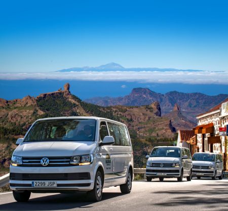 V.I.P Mini Van Luxury Tours