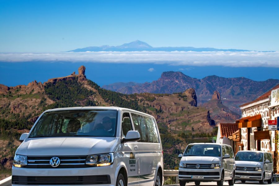 V.I.P Mini Van Luxury Tours