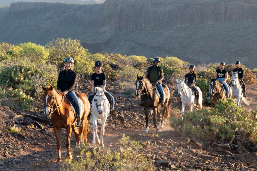2-hour horseback ride